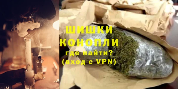 индика Балабаново