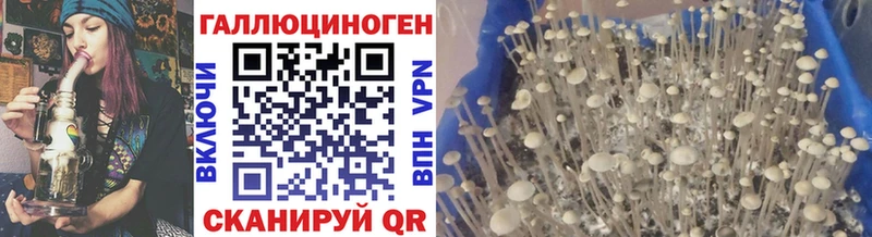 Псилоцибиновые грибы Psilocybe  как найти наркотики  Благодарный 